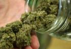 Le hallan marihuana a Policías bonaerenses de Cañuelas y son pasados a disponibilidad