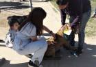 Continúa el operativo de sanidad animal