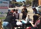 Sigue el operativo de vacunación para perros y gatos