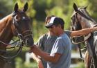 El Municipio advierte que no autorizó la práctica del Polo ni de ningún otro deporte