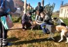 Este martes continuó en el barrio Guzzetti la campaña de vacunación antirrábica a domicilio