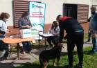 Plan de vacunación antirrábica en el barrio Hipotecario