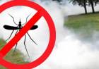 Se realizaron fumigaciones  preventivas contra el dengue, zika y chikungunya