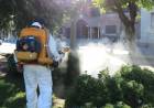OPERATIVOS DE FUMIGACIÓN CONTRA EL DENGUE