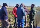 Detectan graves irregularidades en establecimientos agropecuarios de Cañuelas