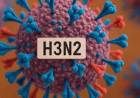 Nueva variante de Influenza A (H3N2)