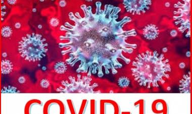 COVID-19: Situación Epidemiológica de Cañuelas