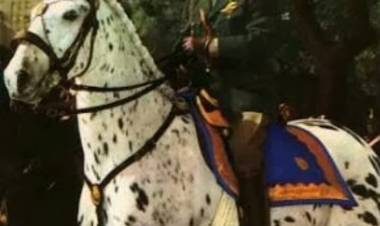 1 de Julio de 1974 muere Juan Domingo Perón