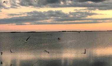 TRES LAGUNAS BONAERENSES PARA CONECTAR CON LA NATURALEZA