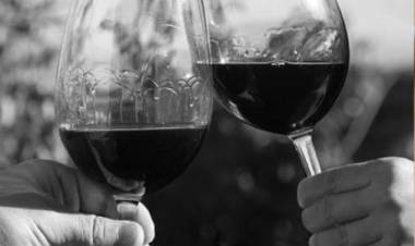 Pequeña Reflexión Diaria: Feliz Día del Amigo