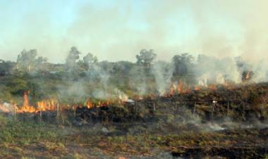 Charla abierta: Ley de humedales e incendios forestales