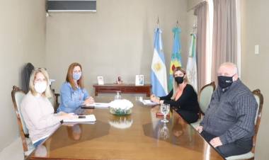 El Municipio planifica un quirófano móvil para castración de mascotas