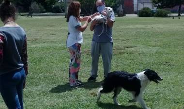 Vacunación de mascotas en barrios y localidades
