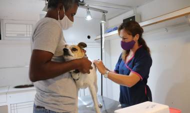 Continúan los operativos de vacunación antirrábica gratuita