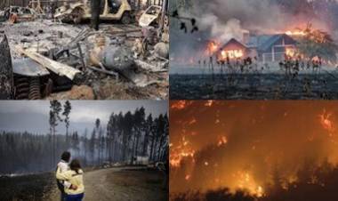 La violencia jamás puede ser el camino