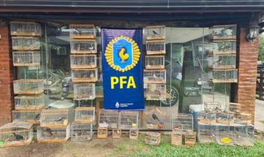 La Policía Federal rescató en Cañuelas y en la región aves valuadas aproximadamente en un millón de pesos
