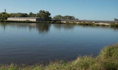 ACUMAR clausuró la chanchería de Cañuelas  Forezer S.A. por vuelcos contaminantes