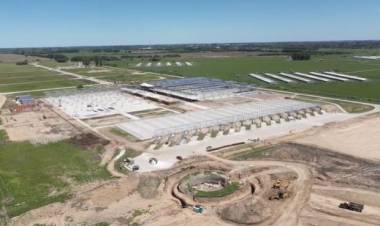 Acusaciones y cruces por una supuesta compra en el Mercado de Cañuelas