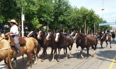 Cronograma de actividades de Tiempo de Gauchos