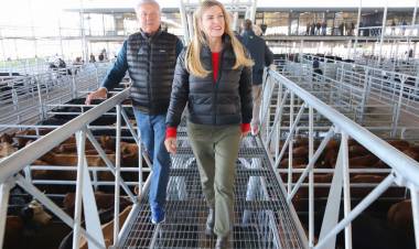 Un nuevo remate en el Mercado Agroganadero de Cañuelas con la presencia de la intendenta Fassi