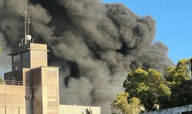  Comunicado de Molino Cañuelas sobre el infernal incendio