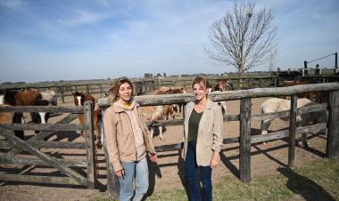 Marisa Fassi intercedió por los 60 caballos abandonados en un campo de Cañuelas