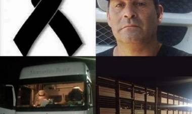 Camionero cañuelense perdió la vida mientras cargaba chanchos