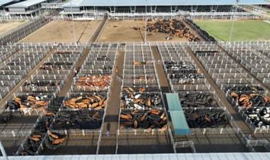 Reincorporan a trabajador y dirigente sindical del MAG