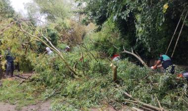 Situación tras el temporal