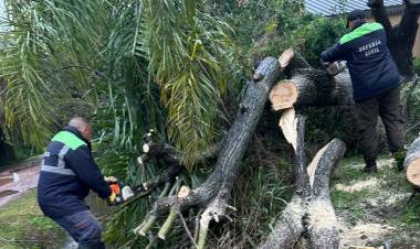 ACCIONES MUNICIPALES ANTE EL TEMPORAL