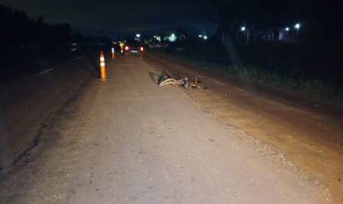 Un vecino de Cañuelas murió tras ser embestido por una camioneta en la Ruta 205