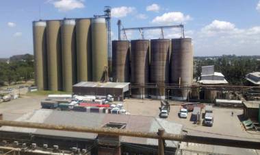 Molino Cañuelas consigue la homologación judicial de su acuerdo de reestructuración