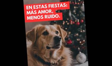 Más Luces Menos Ruidos