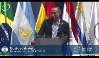 20 años del Parlamento del Mercosur