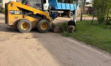 EL MUNICIPIO AVANZA CON TRABAJOS PREVENTIVOS DE LIMPIEZA Y MANTENIMIENTO