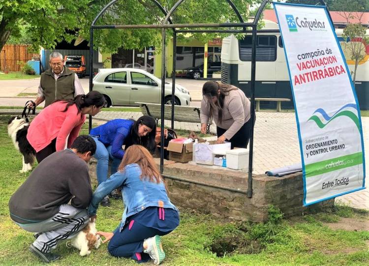 Campaña de vacunación antirrábica en La Verónica y Udaondo
