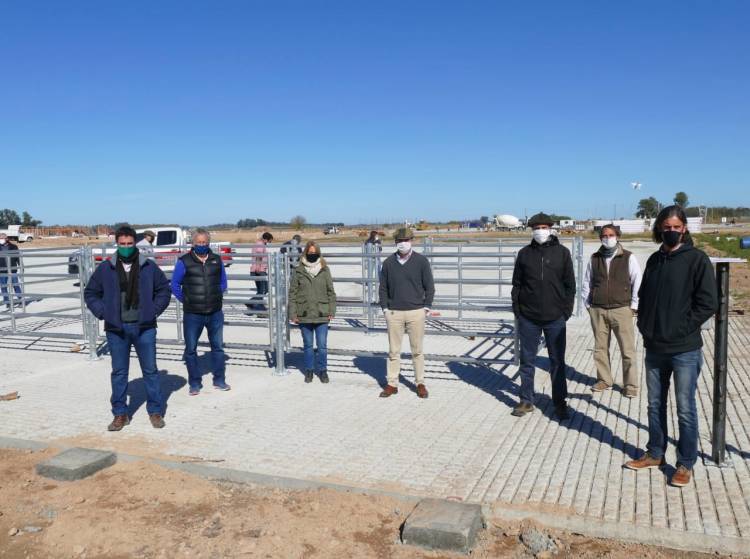 Se demora la llegada del Mercado de Agroganadero a Cañuelas