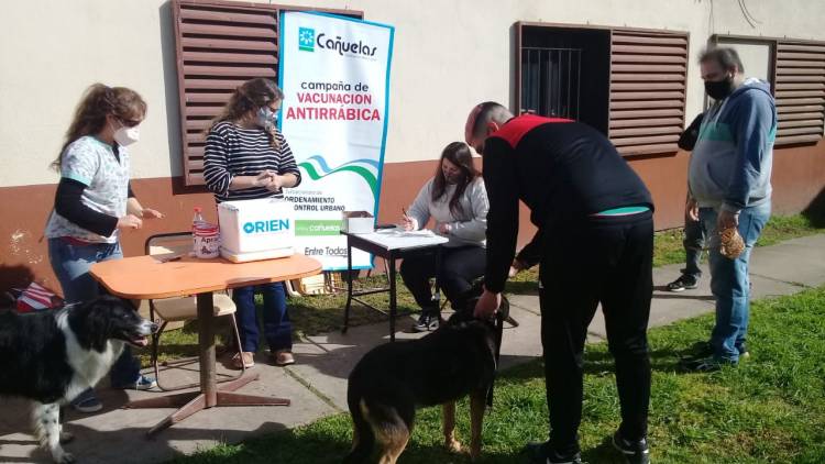 Plan de vacunación antirrábica en el barrio Hipotecario