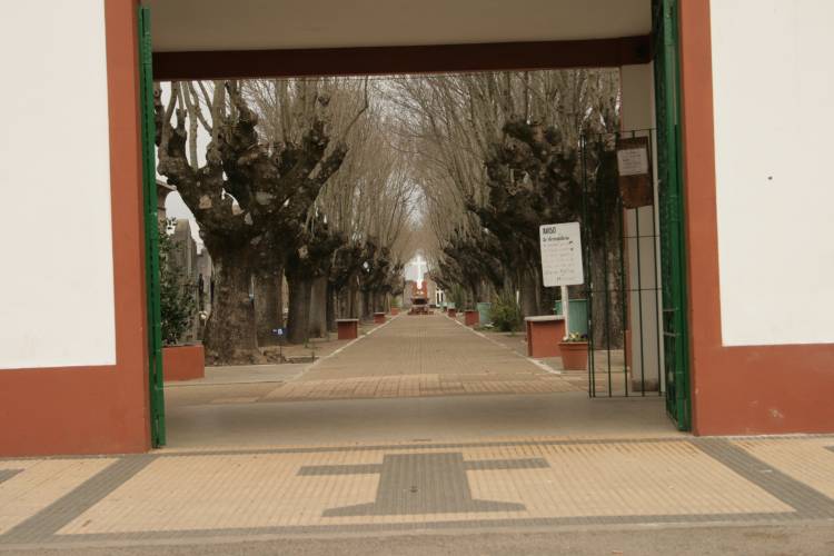 Cementerios: este domingo se amplia el horario de visitas