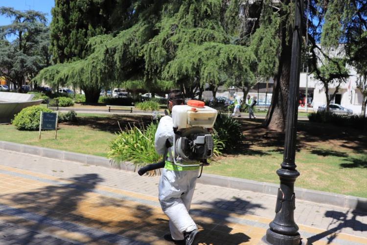 Continúan las tareas de desinfección y fumigación