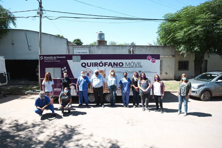 Quirófano móvil: 140 animales castrados en las primeras cuatro jornadas