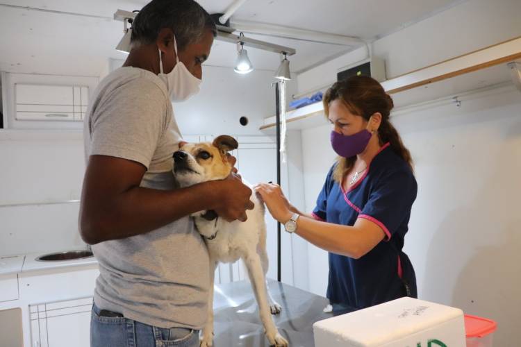 Continúan los operativos de vacunación antirrábica gratuita