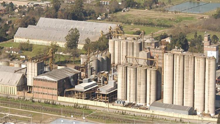 Molino Cañuelas rechaza la resolución dictada por la Secretaría de Comercio Interior