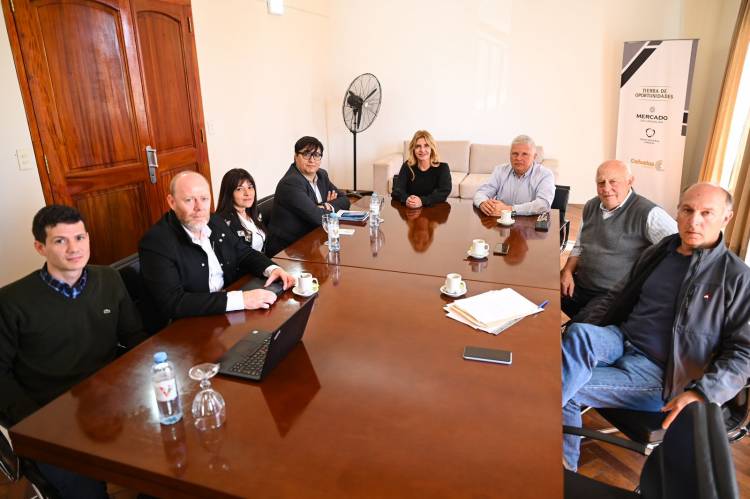 Reunión con la Cooperativa Eléctrica Carboni y Edesur por el servicio de Uribelarrea y El Taladro