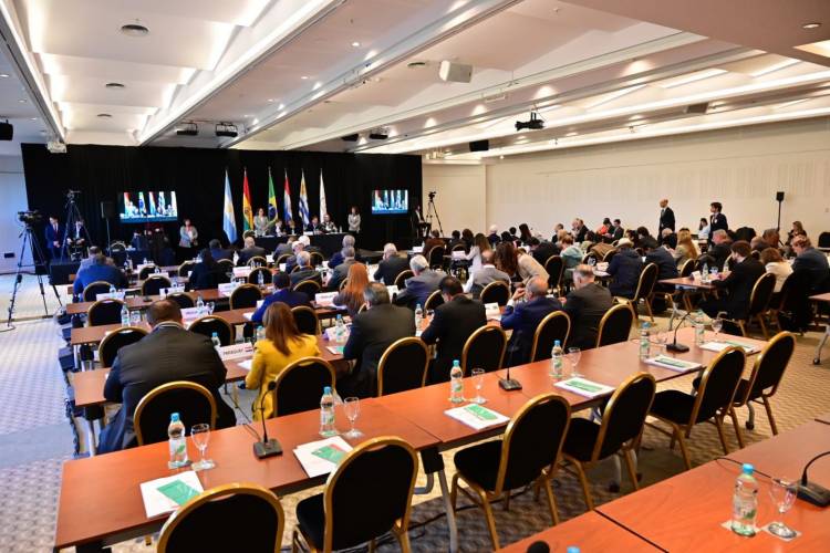 En Sesión Plenaria del PARLASUR Arrieta reclamó por los detenidos en Argentina 