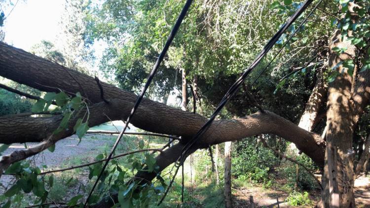ACCIONES ANTE EL TEMPORAL