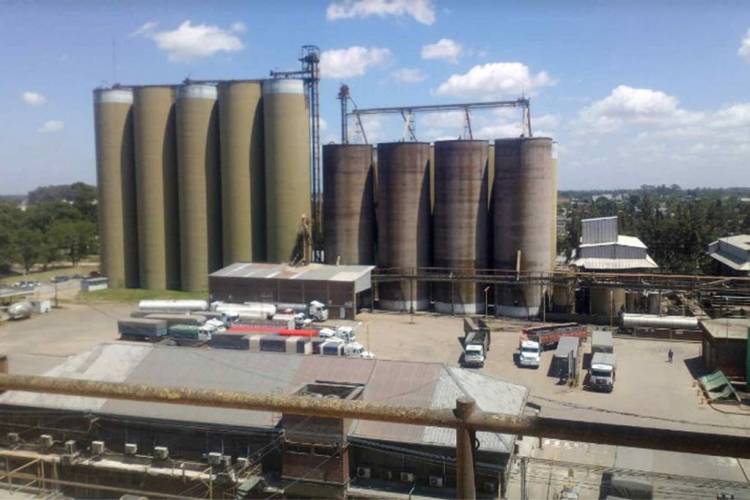 Molino Cañuelas consigue la homologación judicial de su acuerdo de reestructuración