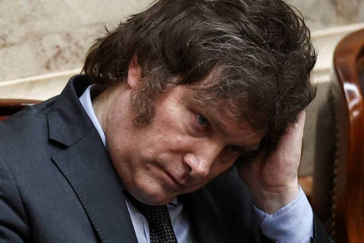 Imagen del Gobierno: un 60 % no aprueba la gestión de Milei y el 73% tiene una mirada negativa de los Menem